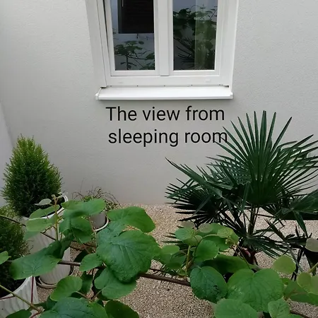 Apartment Ondina *